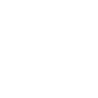 saaspik tryangle